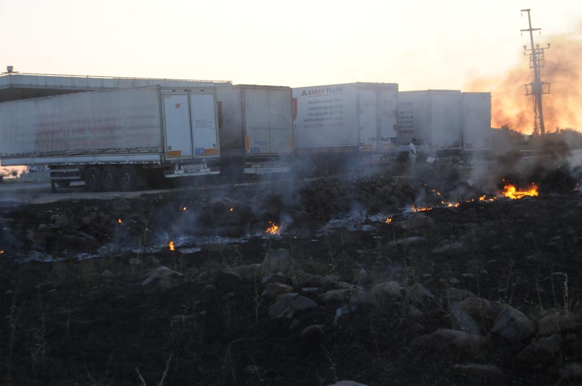 Şırnak'ta sigara izmariti tarlayı küle çevirdi