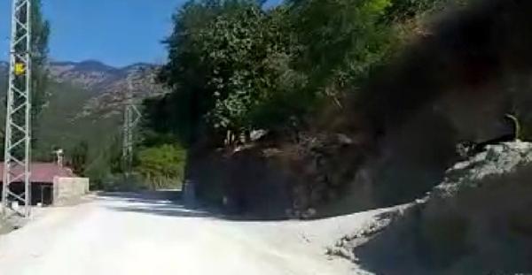 Gaziantep'te köpeğin saldırısına uğrayan motosikletli