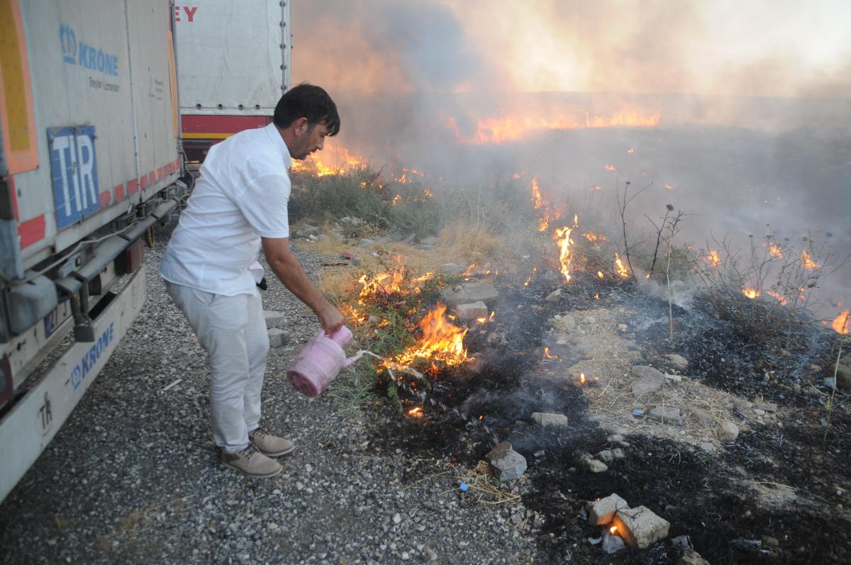 Şırnak'ta sigara izmariti tarlayı küle çevirdi