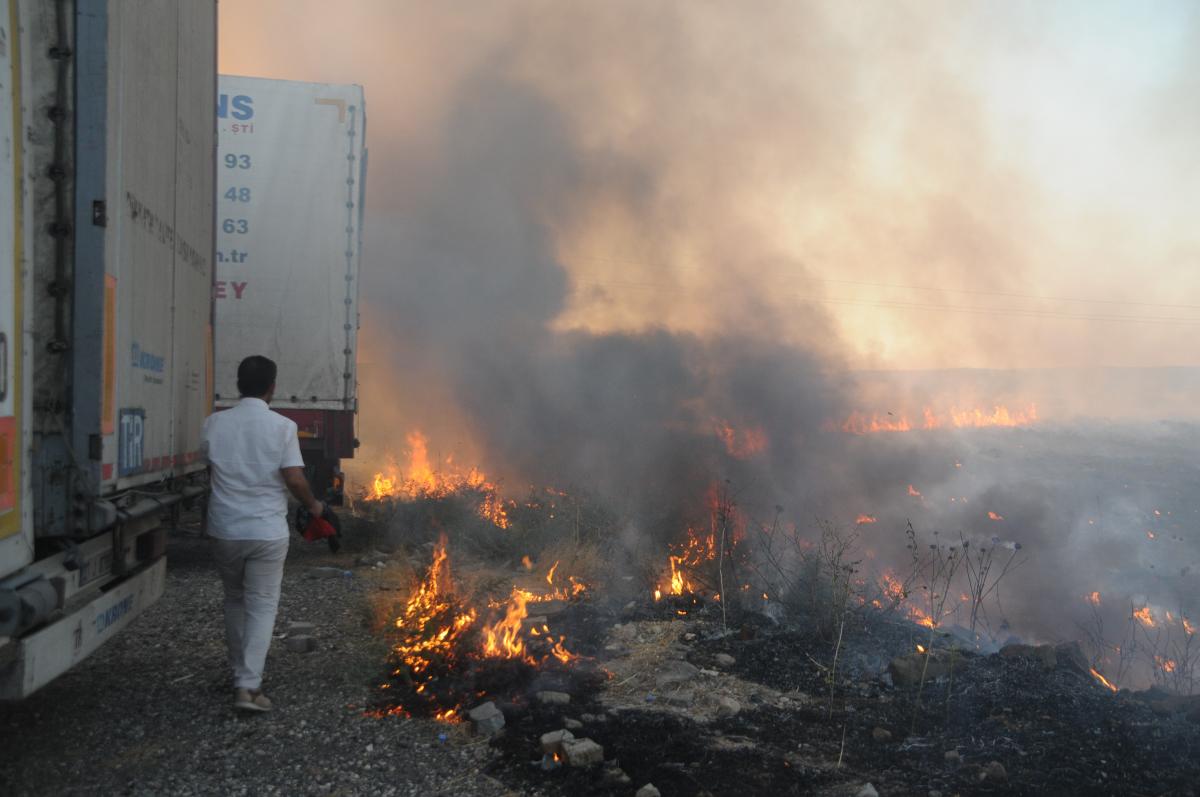Şırnak'ta sigara izmariti tarlayı küle çevirdi