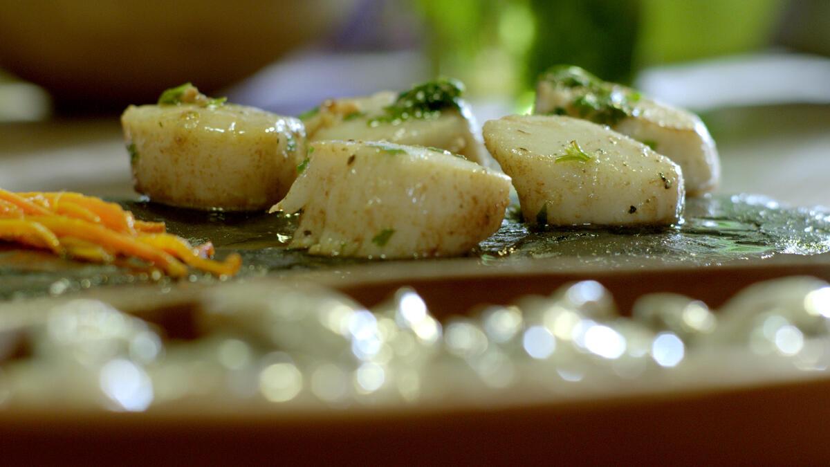 Deniz tarağı nedir