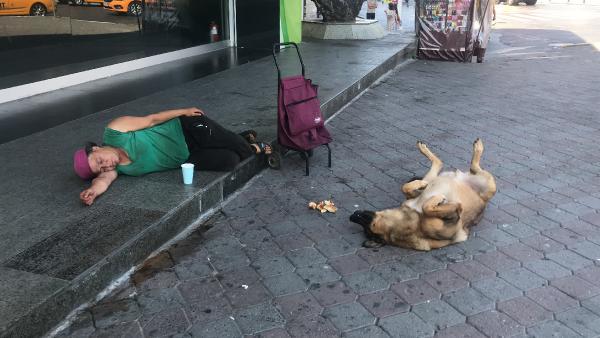 Taksim’de köpeğin vefası: Yalnız bırakmıyor