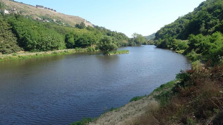 Trabzon'daki Sera Gölü'nün üstü siyah tabakayla kaplandı