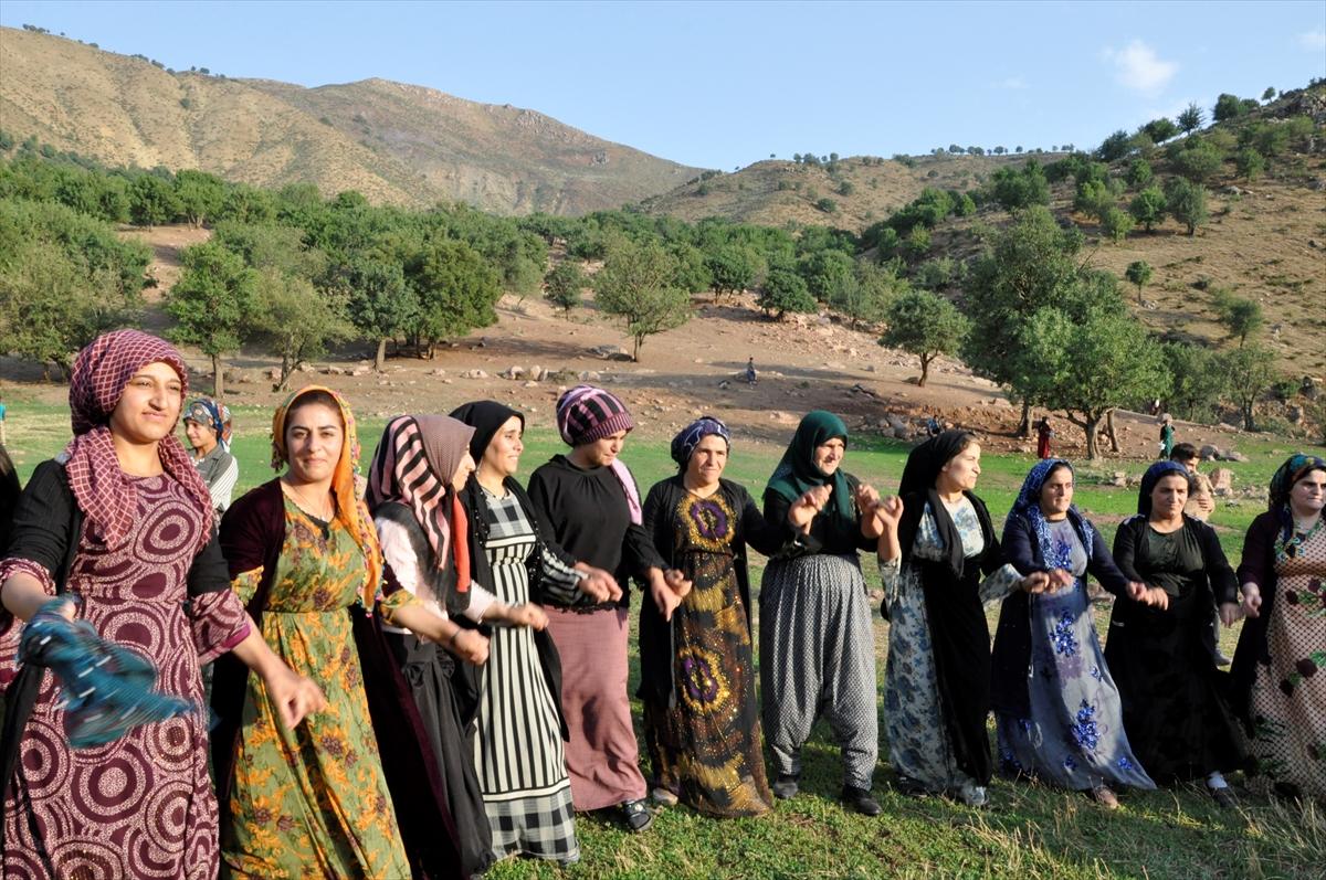 Hakkari'de süt sağmak için kilometrelerce yol yürüyorlar