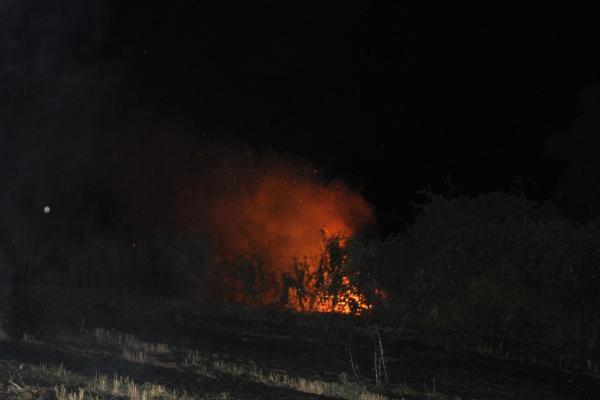 Tekirdağ'da yıldırım düşen ağaçlık alanda yangın