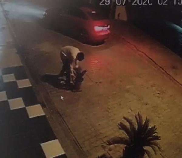 Adana'da saksıdaki süs bitkisinin çalınma anı