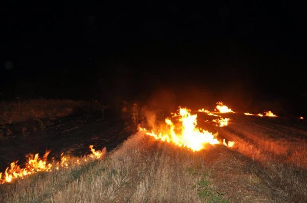 Tekirdağ'da yıldırım düşen ağaçlık alanda yangın