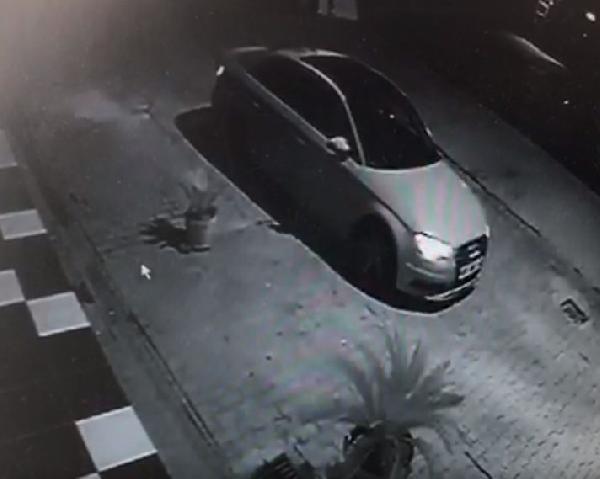 Adana'da saksıdaki süs bitkisinin çalınma anı