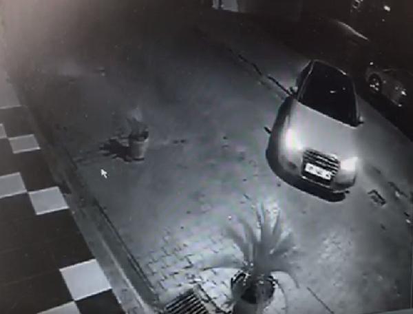 Adana'da saksıdaki süs bitkisinin çalınma anı