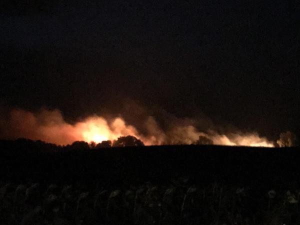 Tekirdağ'da yıldırım düşen ağaçlık alanda yangın