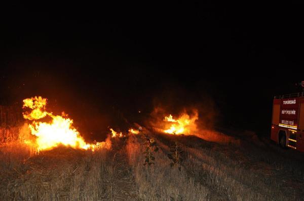 Tekirdağ'da yıldırım düşen ağaçlık alanda yangın