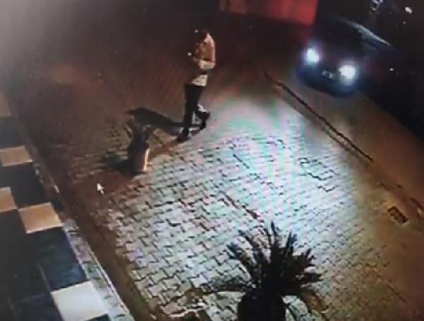 Adana'da saksıdaki süs bitkisinin çalınma anı