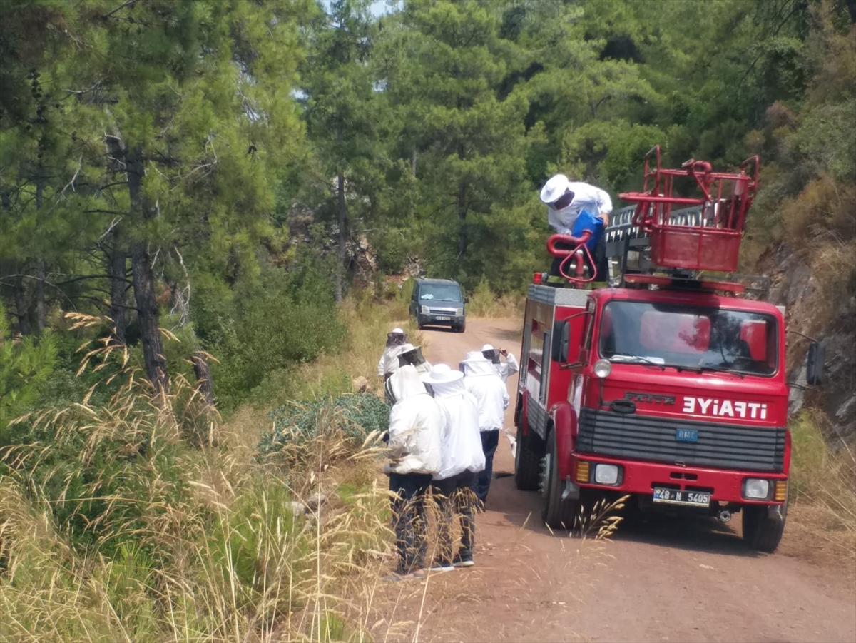 Muğla'da arı kovanı taşıyan kamyonet kaza yaptı