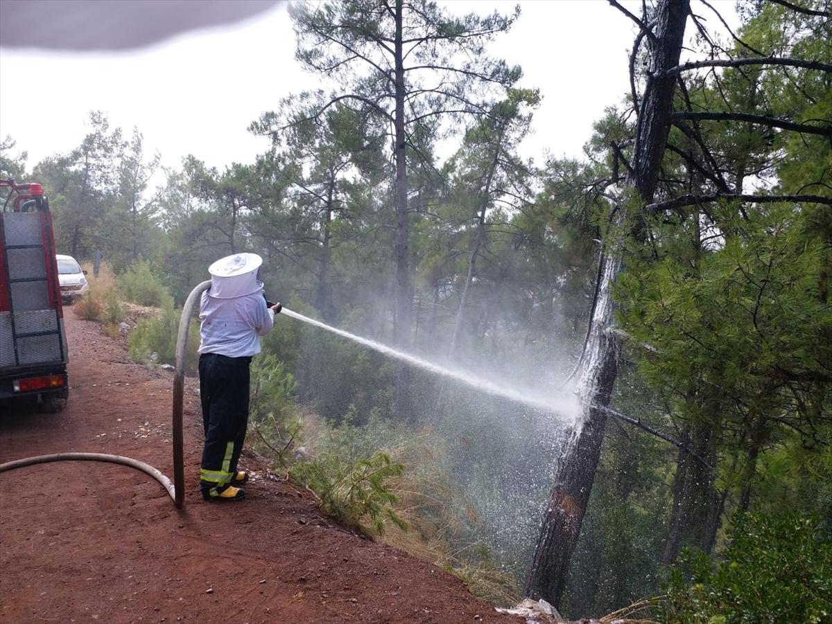Muğla'da arı kovanı taşıyan kamyonet kaza yaptı