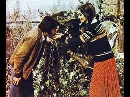 Ferdİ Tayfur kimdir? Biyografisi