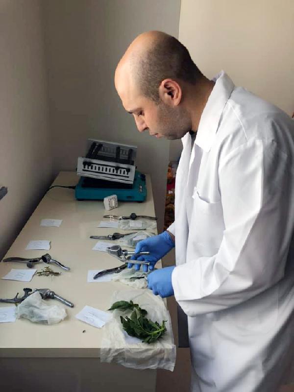 Niğde’de hastalıklara dayanıklı yerli ve milli patates