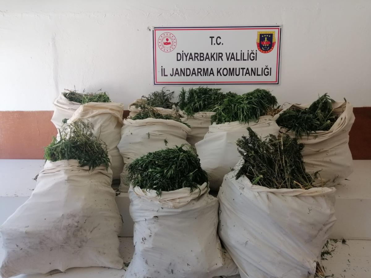 Diyarbakır’da örgüte darbe: 176 kilo esrar ele geçirildi