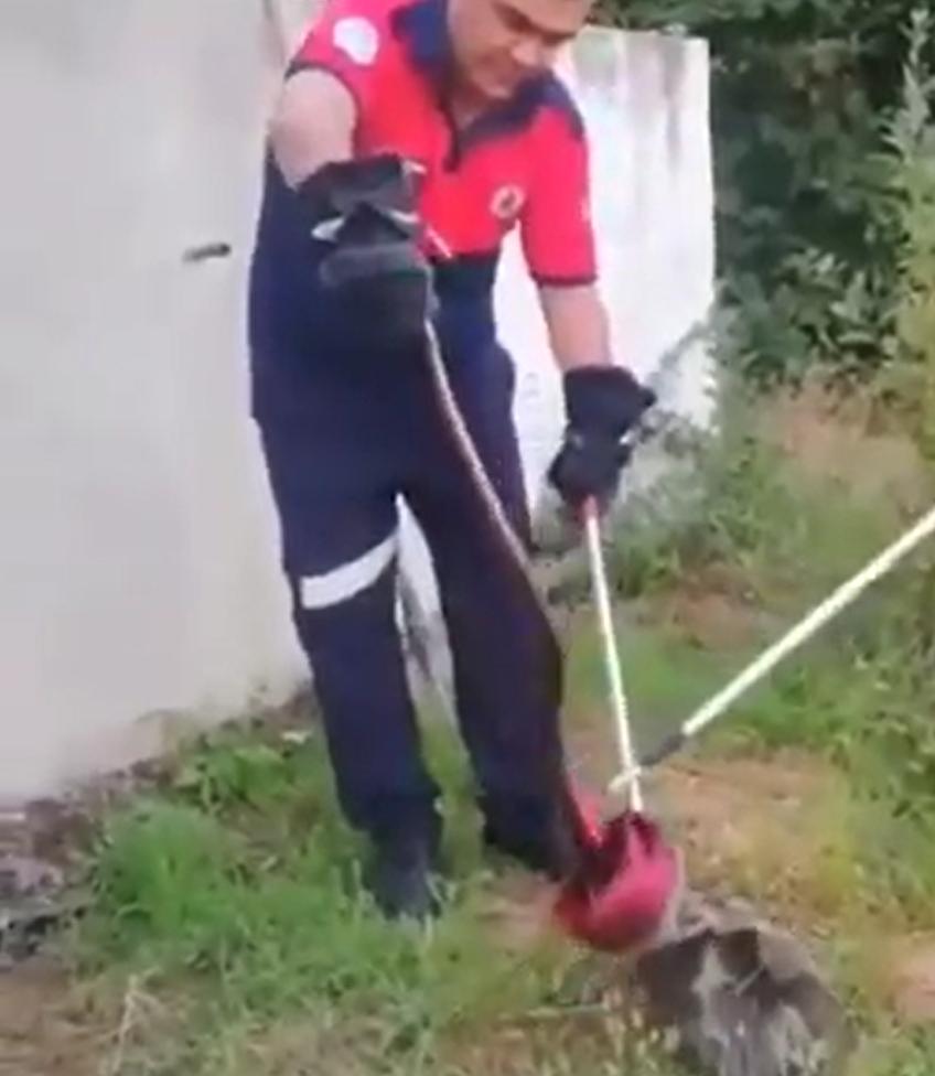 Denizli'de evin bahçesindeki yılan panik yaşattı