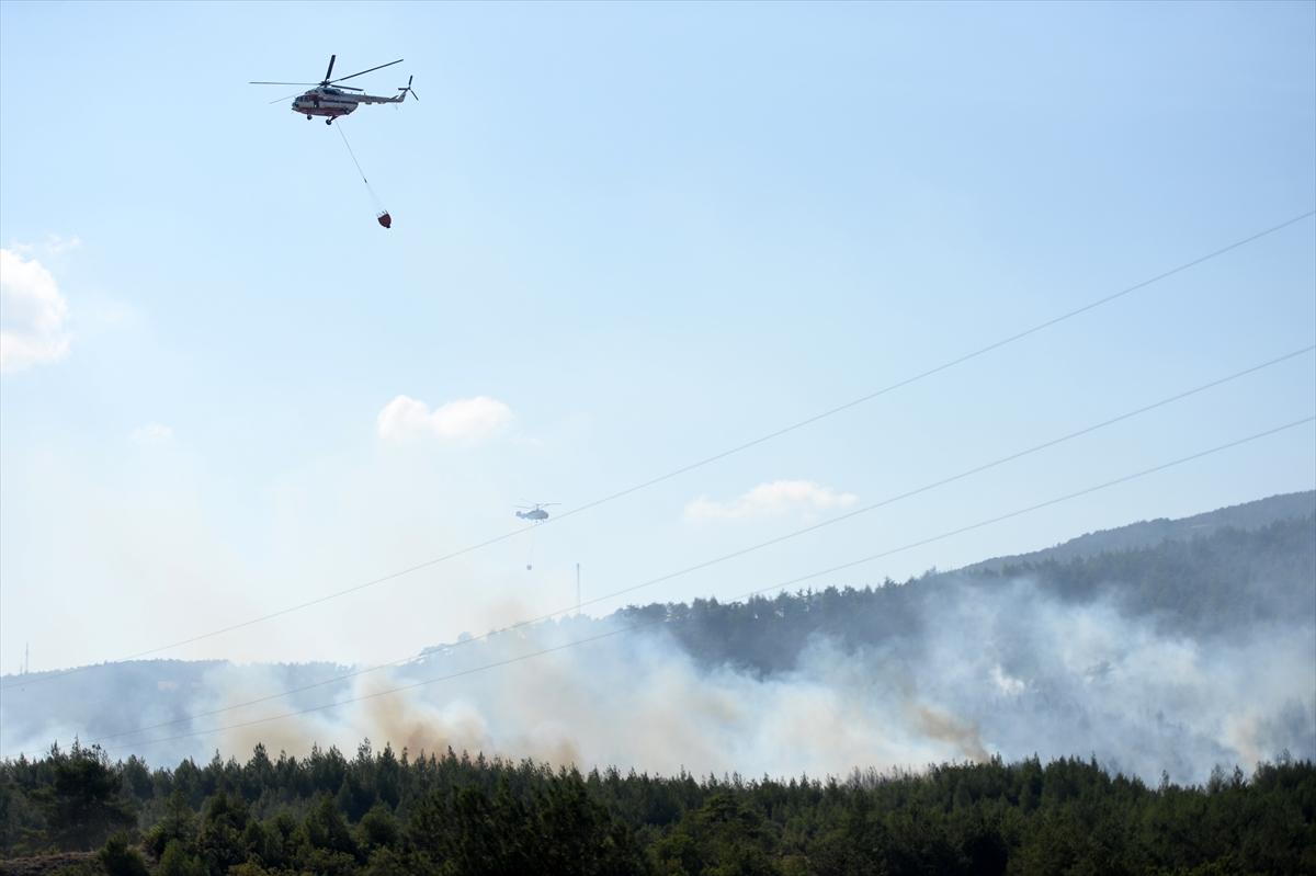 Sakarya'da orman yangını kontrol altına alındı