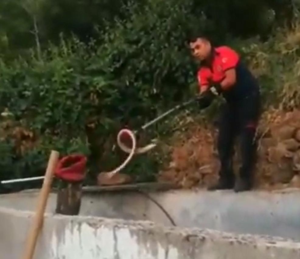 Denizli'de evin bahçesindeki yılan panik yaşattı