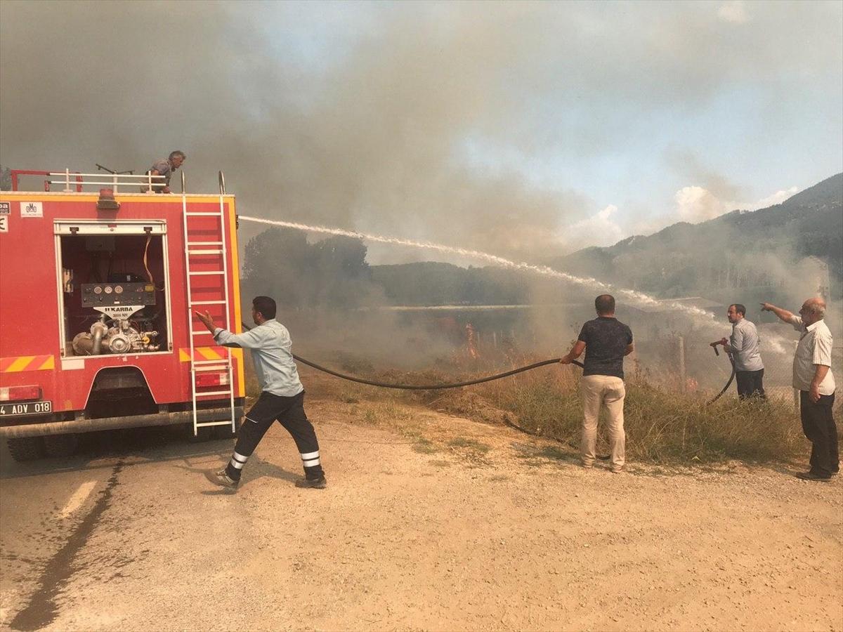 Sakarya'da orman yangını kontrol altına alındı