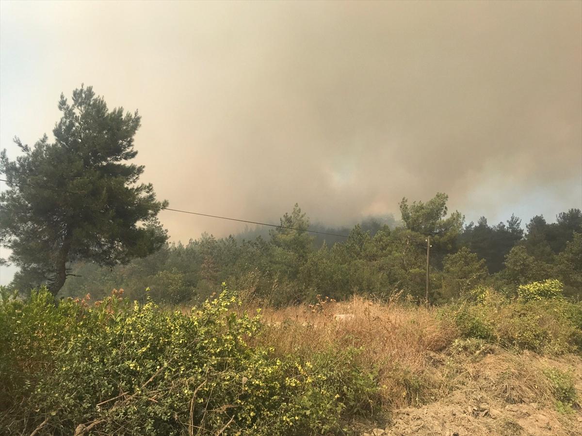 Sakarya'da orman yangını kontrol altına alındı