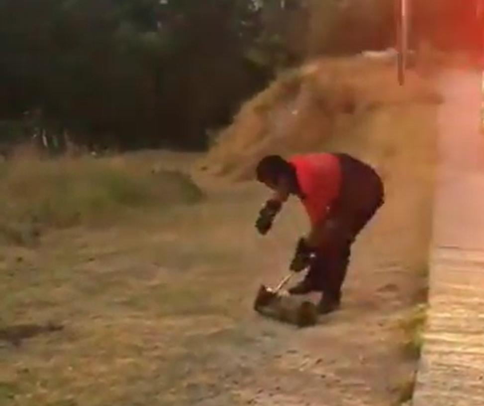 Denizli'de evin bahçesindeki yılan panik yaşattı