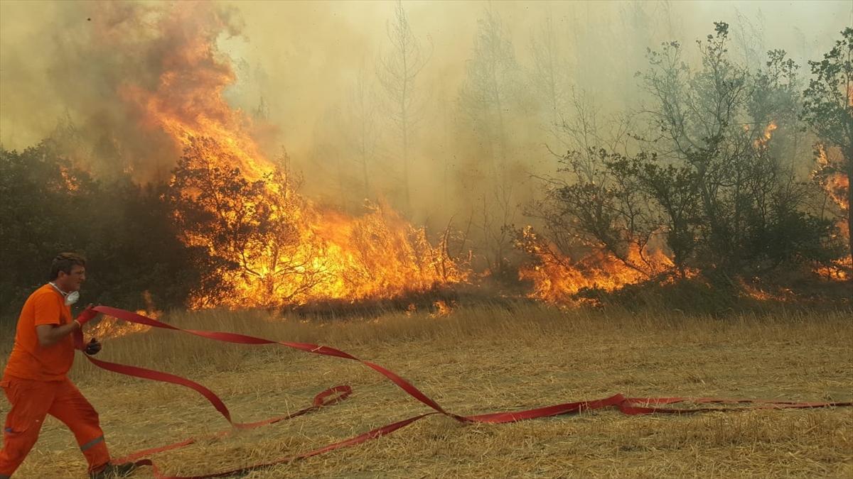 Sakarya'da orman yangını kontrol altına alındı