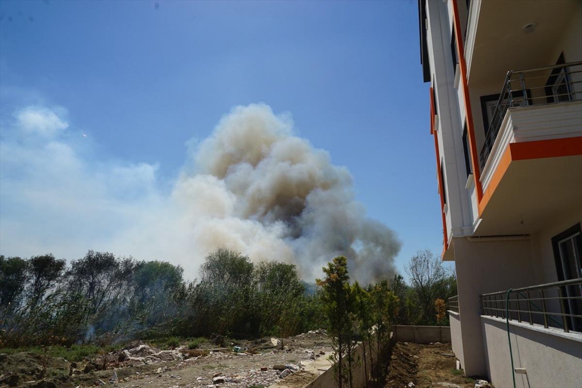 Balıkesir'de sazlık alan alevlere teslim oldu