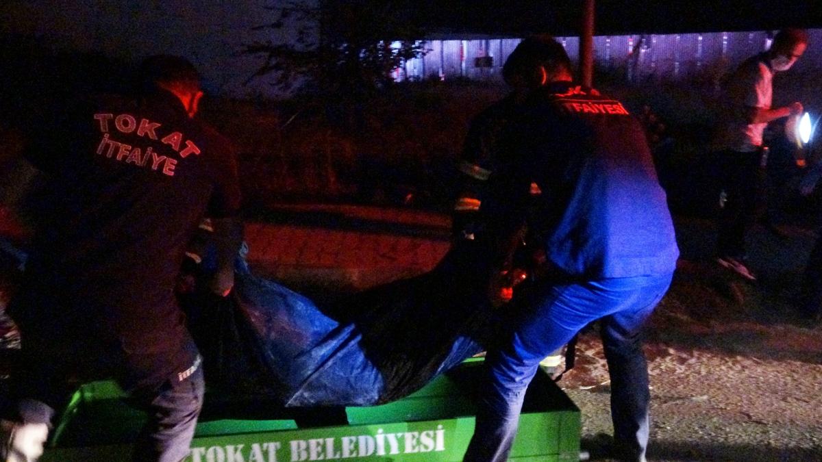 Tokat'ta direğe çarpan sürücü hayatını kaybetti