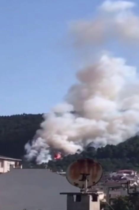 İstanbul'da Aydos Ormanı'nda yangın