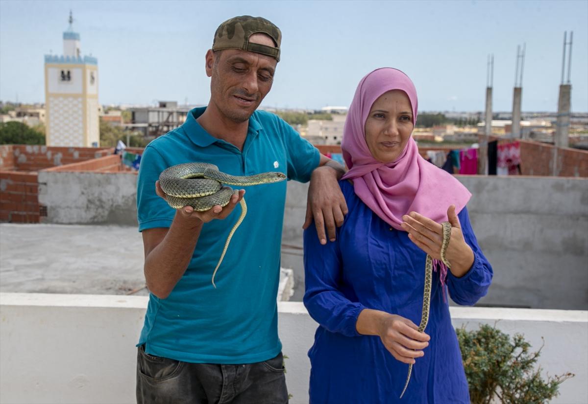 Tunuslu yılan avcısının iş aşkı