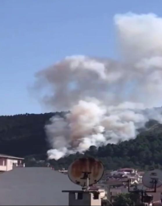 İstanbul'da Aydos Ormanı'nda yangın