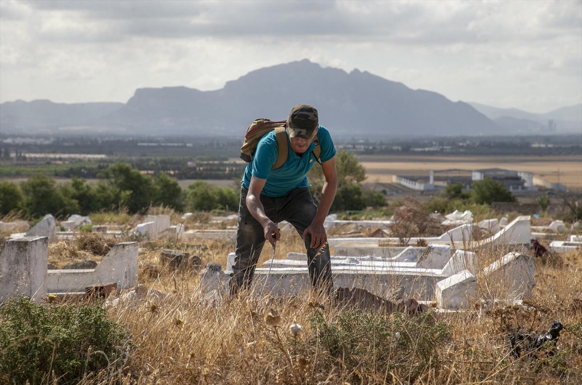 Tunuslu yılan avcısının iş aşkı
