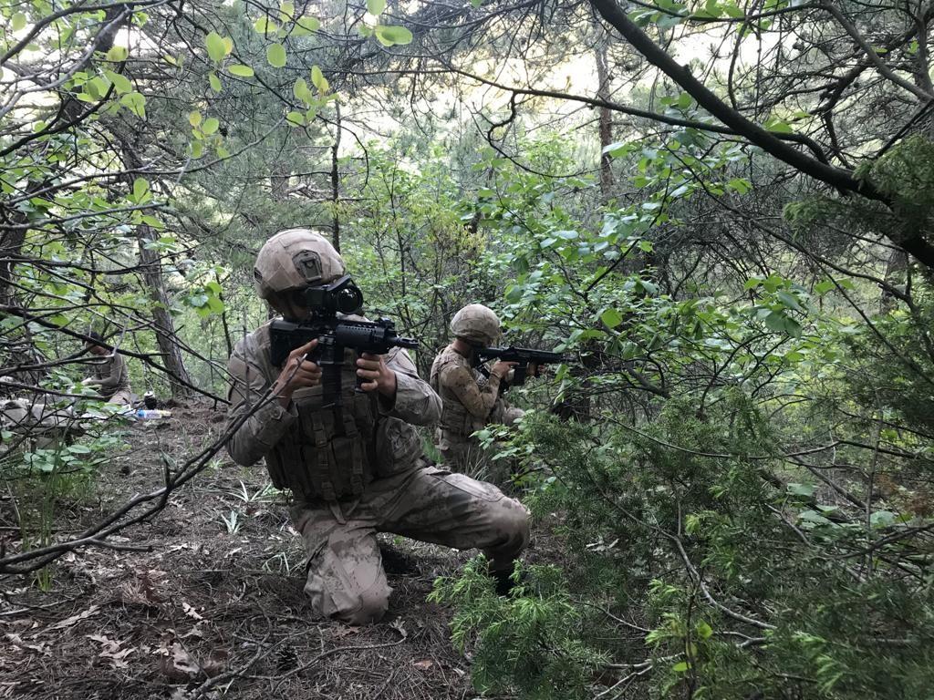 Amanoslar'da Yıldırım-5 operasyonu başladı