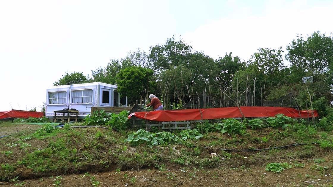 Rize özlemini İstanbul'daki bahçesinde gideriyor
