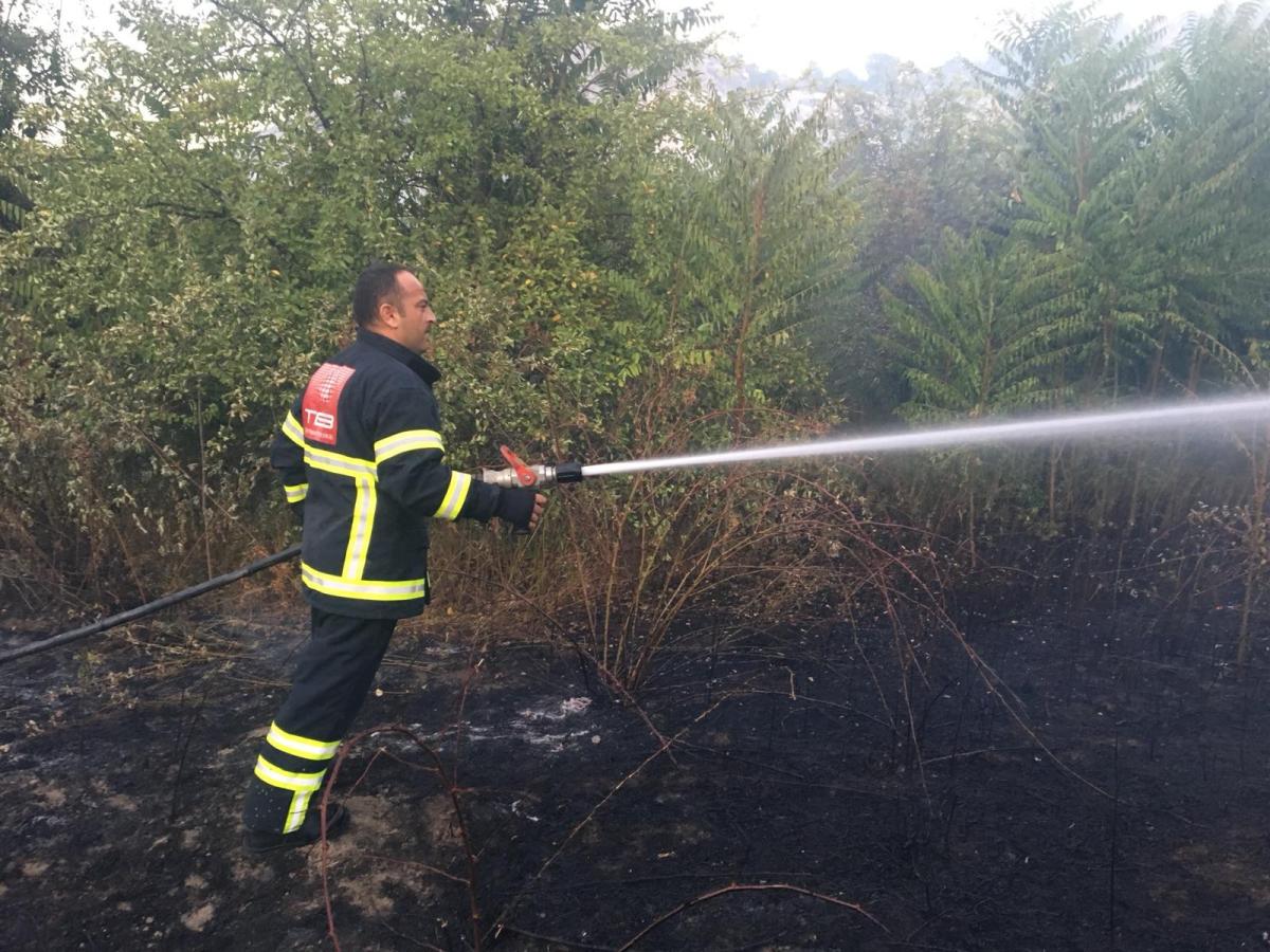 Amasya'da çıkan yangında 5 dönüm arazi zarar gördü