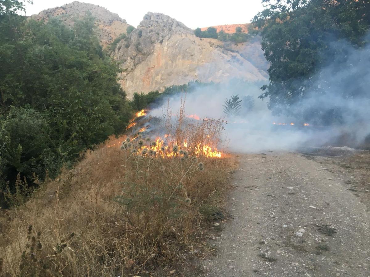 Amasya'da çıkan yangında 5 dönüm arazi zarar gördü
