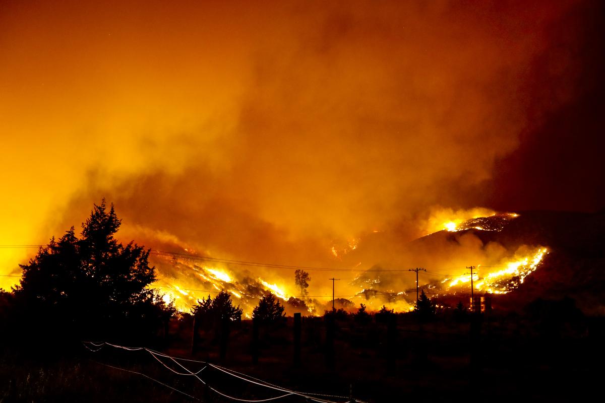 Los Angeles yakınlarında orman yangını
