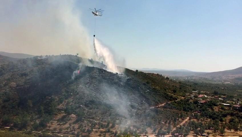 Milas'ta zeytinlik arazide çıkan yangın söndürüldü