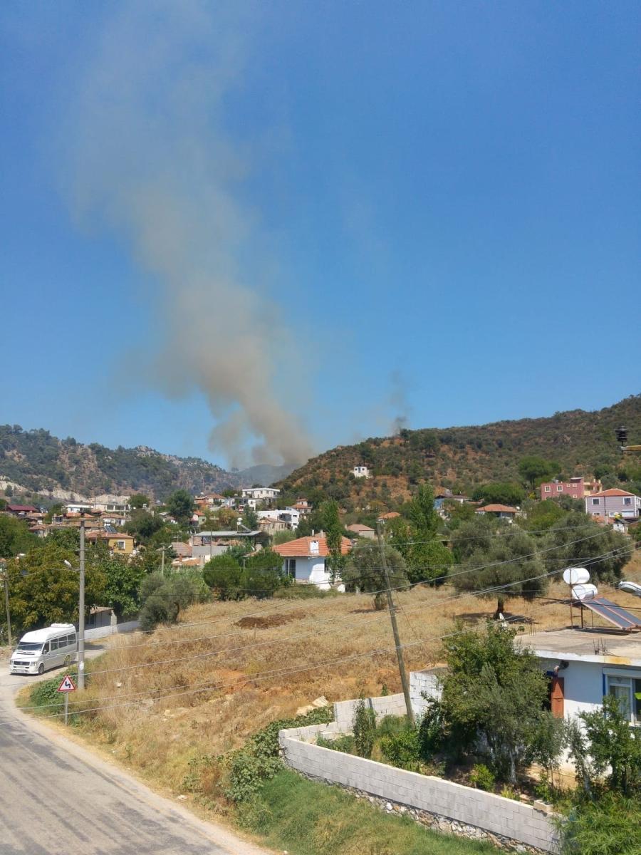 Milas'ta zeytinlik arazide çıkan yangın söndürüldü