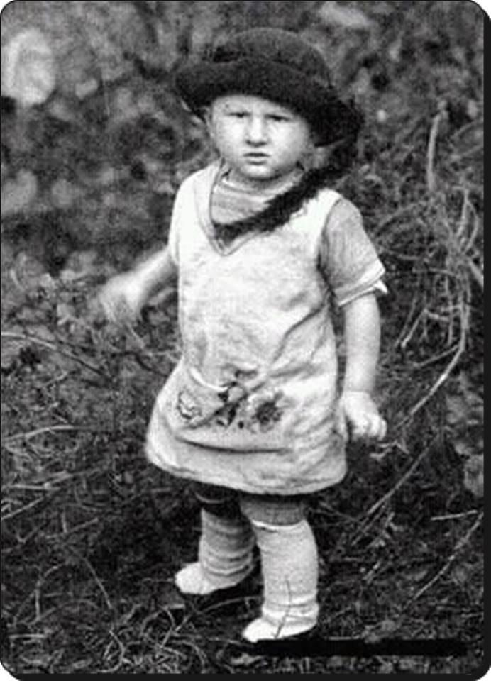 Süleyman Seba kimdir? Biyografisi