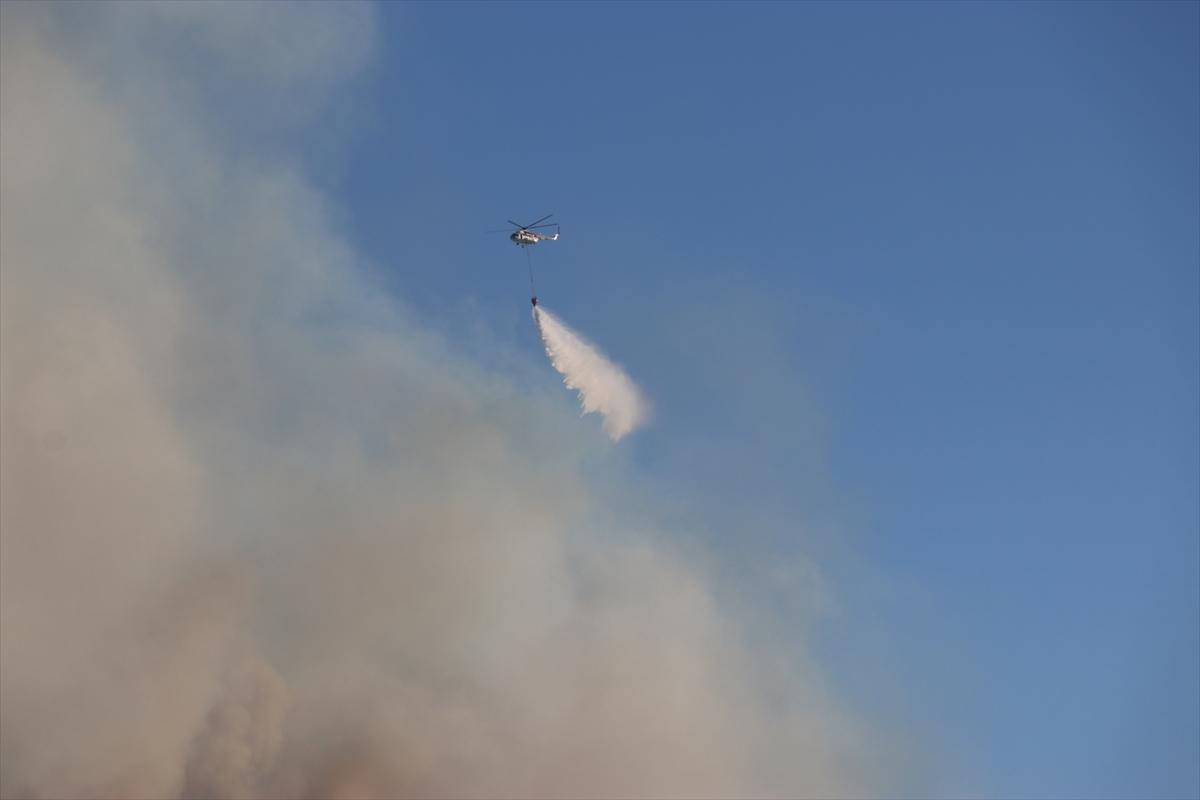 Çeşme'de çıkan yangında 4 site boşaltıldı