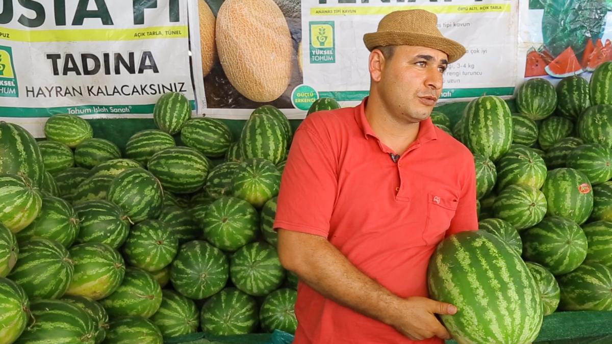 En iyi karpuz nasıl seçilir