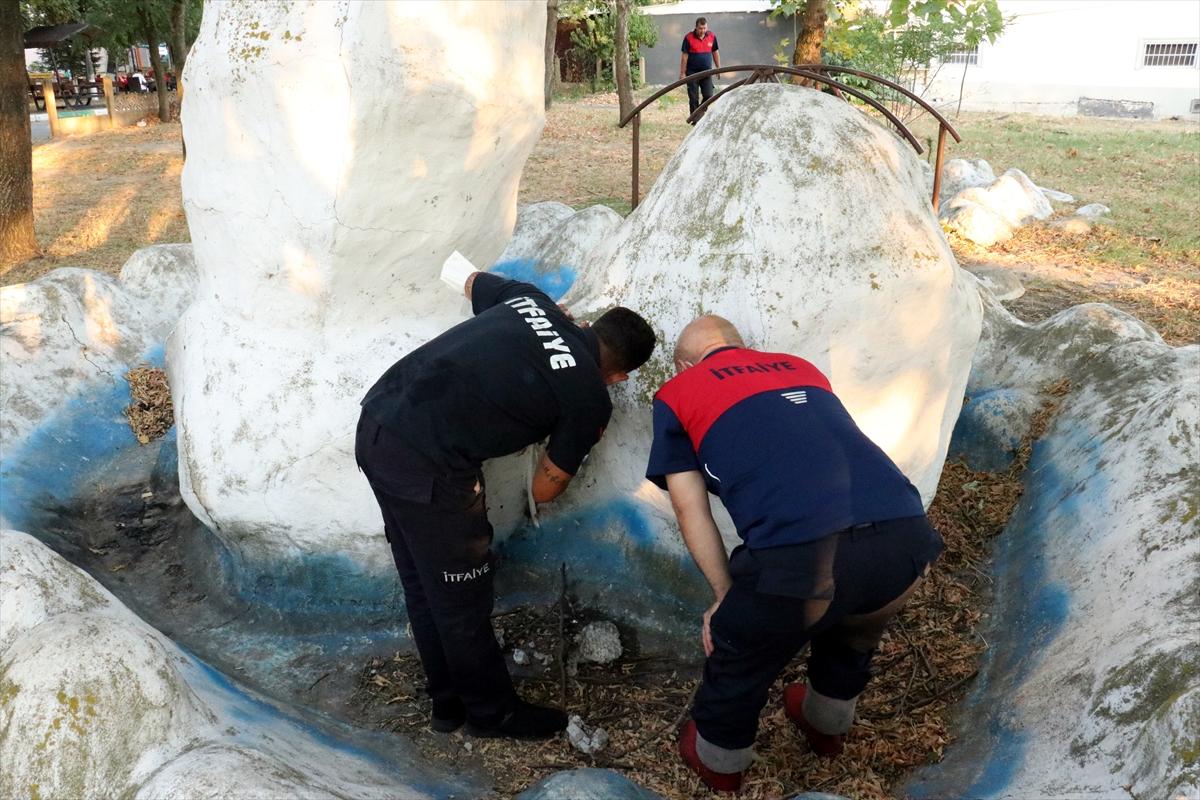 Kırklareli'nde mahsur kalan yavru kediyi itfaiye kurtardı