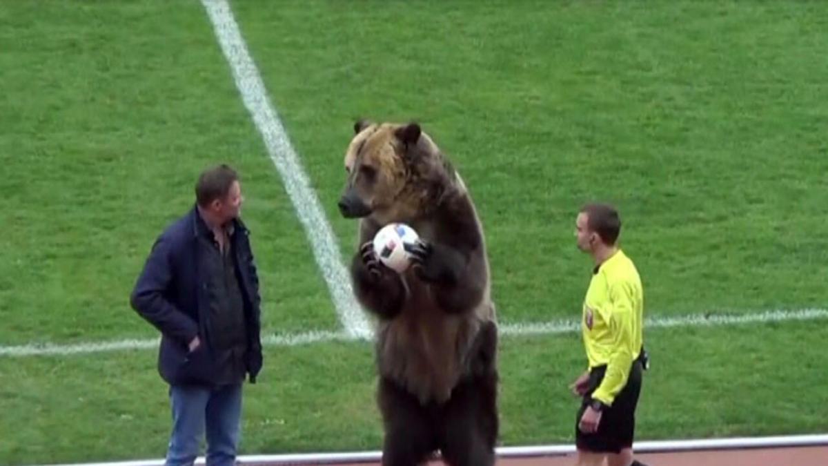 Rusya'da takımın soyunma odasına ayı getirildi