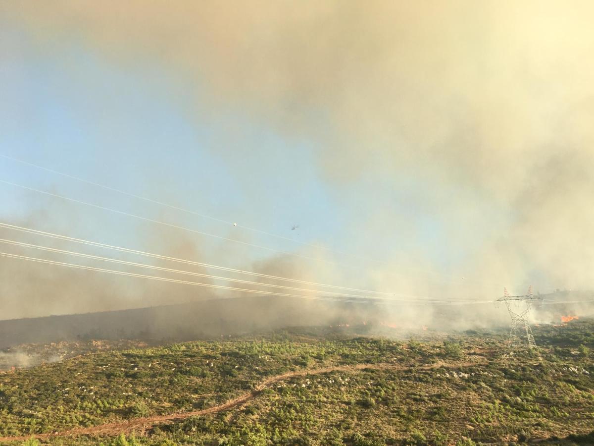 İzmir'de makilik alan yanıyor: Havadan müdahale başladı