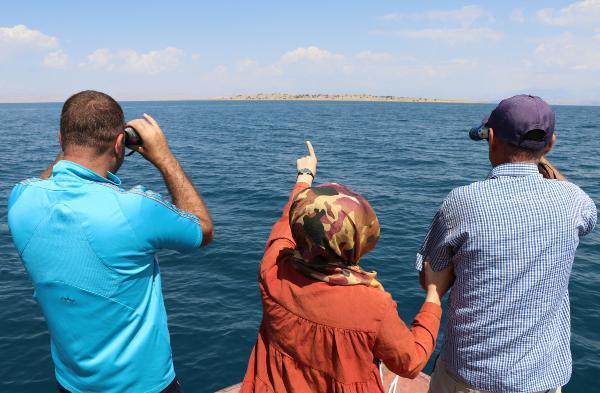 Van Gölü'nde dürbünle 'canavar' aradılar