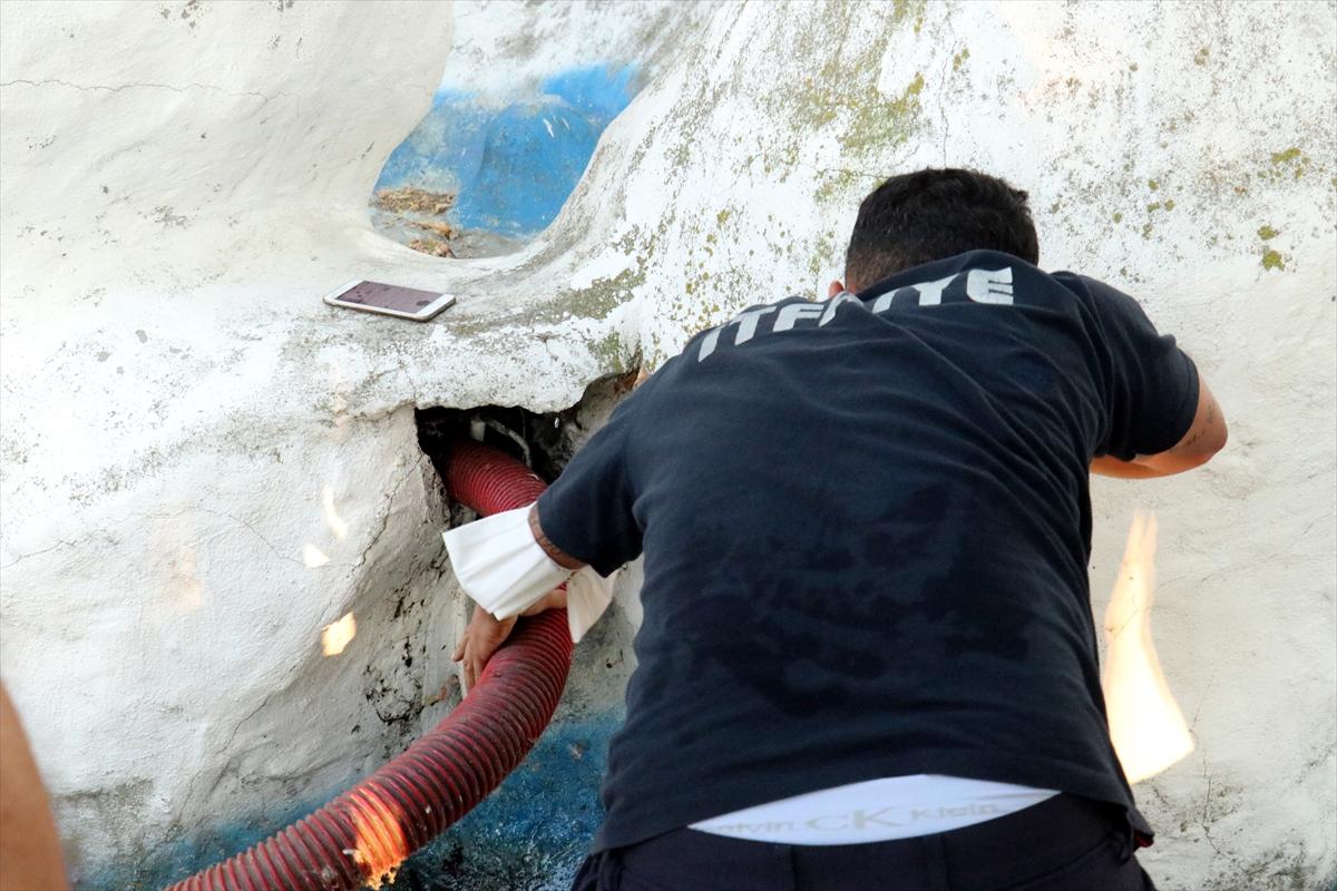 Kırklareli'nde mahsur kalan yavru kediyi itfaiye kurtardı