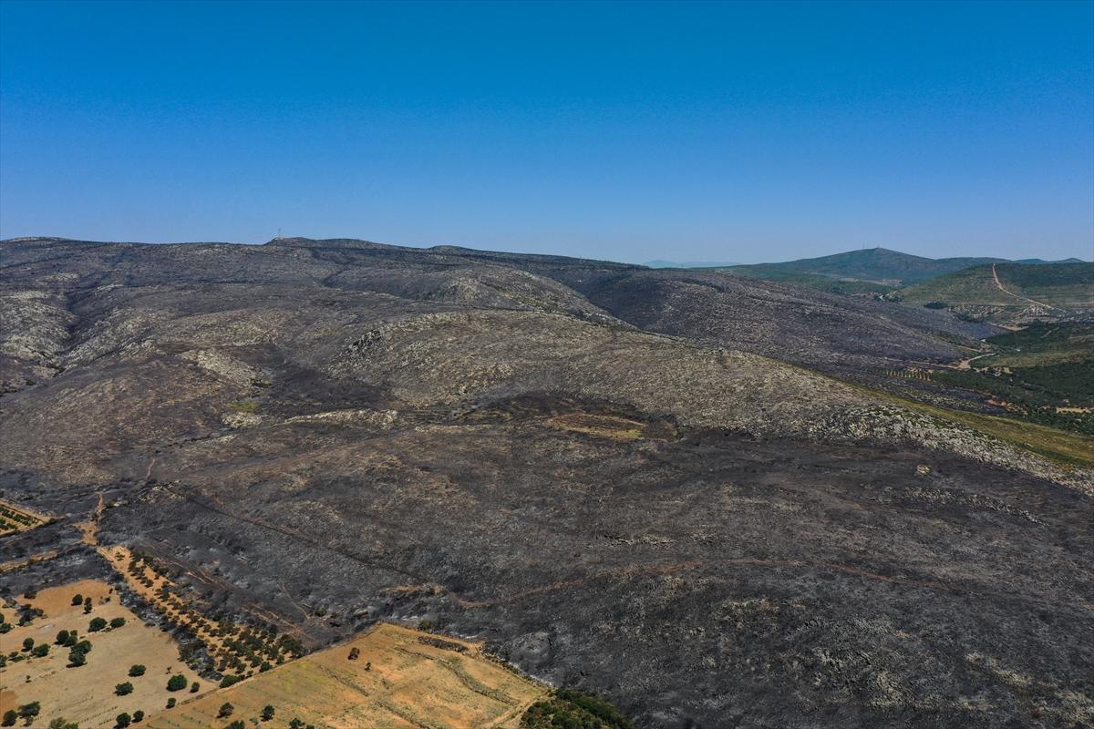 Çeşme'deki yangın havadan görüntülendi